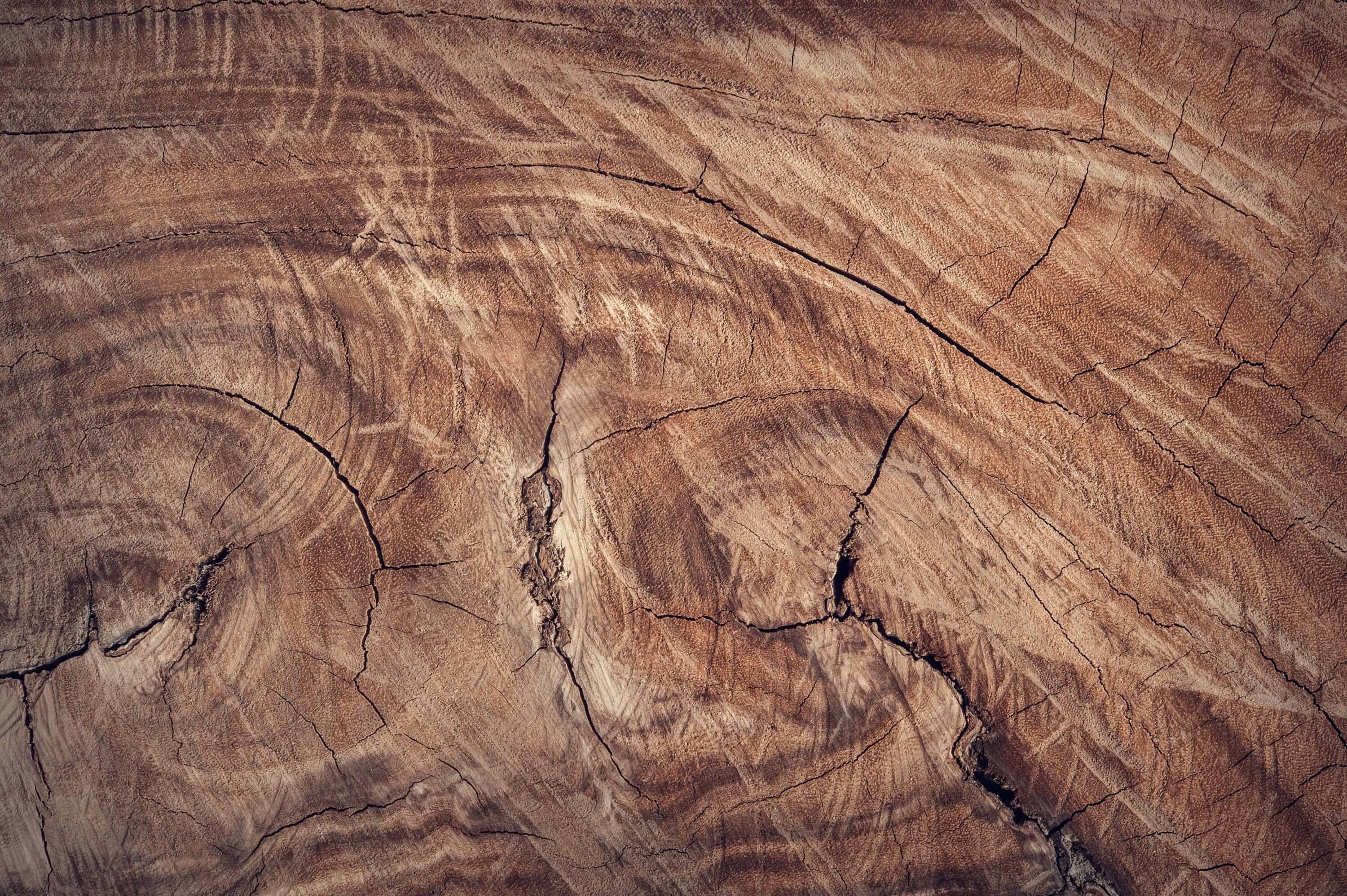Holz